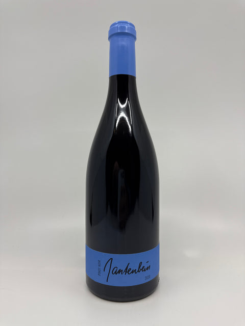 Weingut Martha & Daniel Gantenbein Pinot Noir 2020, 0.75 L